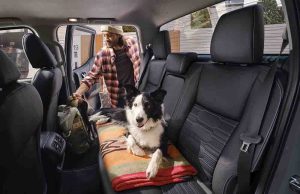 Nissan Colombia celebra el Día Mundial del Perro con consejos para viajar seguro con tu mascota