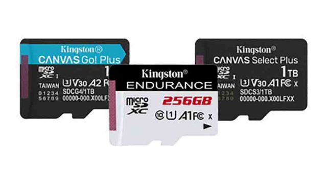 El papel del almacenamiento digital en la fotografía actual