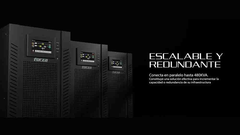 FORZA_Zeus_FTP-3XXK_1