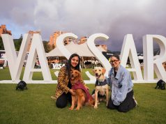 Vassar evoluciona y se convierte en un festival para celebrar el talento emprendedor colombiano